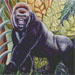 gorilla01