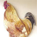 rooster02